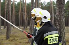 Ćwiczenia czynią mistrzem … w gaszeniu lasów !