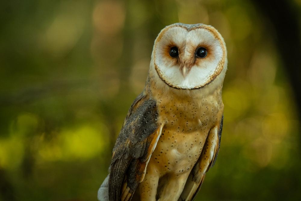 fot. Magdalena Stępińska